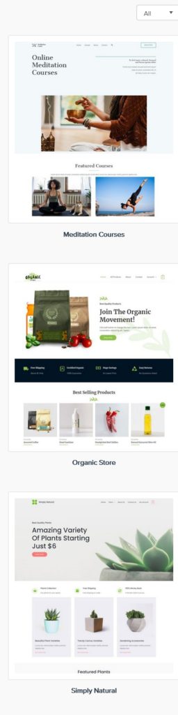 astral web site design example templates 1-c