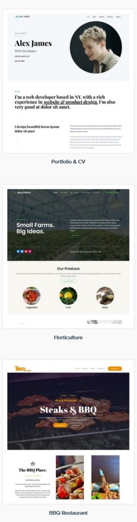 astral web site design example templates 4-c